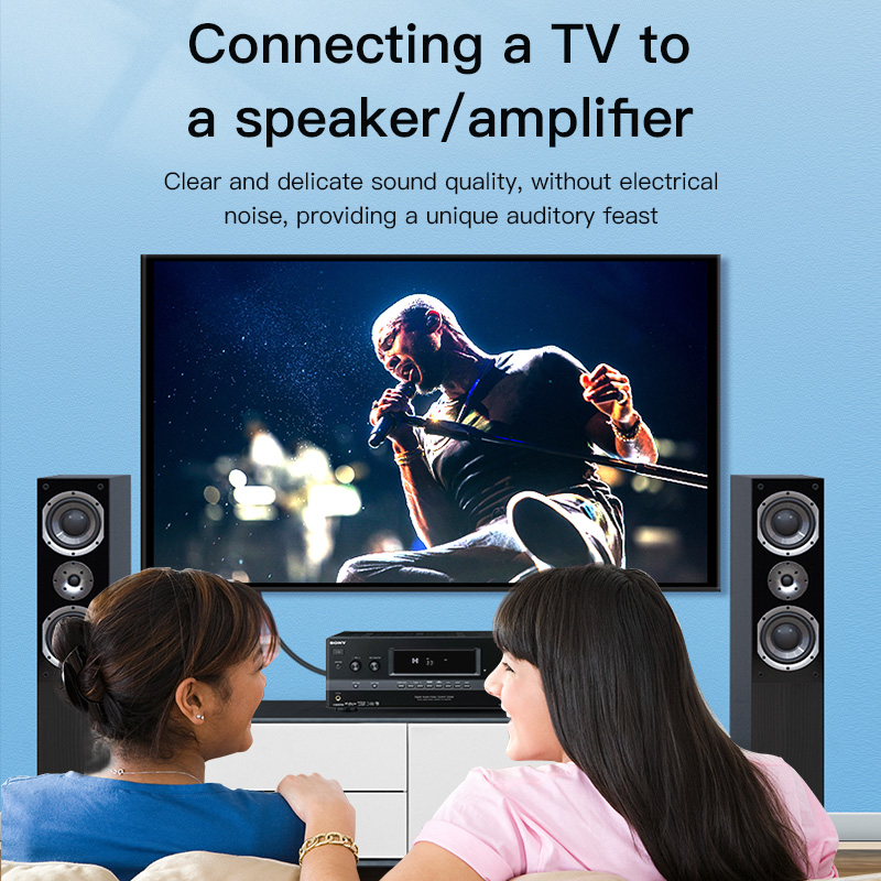 CHOSEAL สาย RCA สายสัญญาณเสียง - Klipsch Home Cinema บทวิจารณ์และราคา